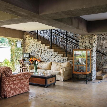 Hippo Hollow Country Estate Хейзивю Екстериор снимка